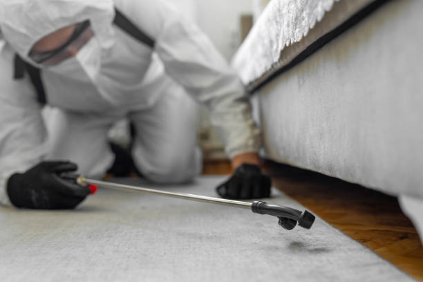 Professional Bed Bug Control technician working in Montgomery County County, MO